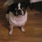 Ethan_hurd_2006 - @ethan_hurd_2006 - Instagram