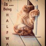 Ethan Hurd - @ethan_hurd22576 - Instagram