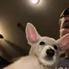 Ethan - @ethan.hurt - TikTok