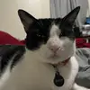Ethan Hurt - @ethan.hurt2 - TikTok