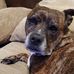 Ethan Hurwitz - Facebook
