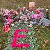 Ethan Hurwitz - @ethan.hurwitz - TikTok