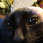 Ethan Hutton - @eefan_2 - Instagram