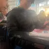 ETHAN - @ethan.israel.past5 - TikTok