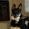 Ethan_Jack - @eth4n_j4ck - TikTok