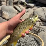Ethan Jansen - @ethanjansen00 - Instagram