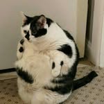 Ethan Jarrett - @ethan_v_jarrett - Instagram