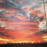 Ethan - @ethan_jolley - Instagram