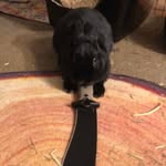 Ethan Judkins - @ethan102117 - Instagram