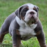 Ethan keen - @ethan_keen1026 - Instagram