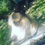 ethan keen - @ethan_keen123 - Instagram
