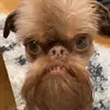 Ethan keen - @ethan.lives1 - TikTok