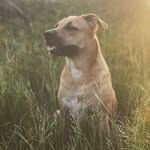 Ethan kellum - @ethankellum9123 - Instagram