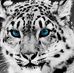Ethan Gerber - Facebook