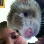 Ethan - @ethan_kessler - Instagram