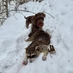 Ethan Kessler - Facebook