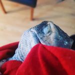 Ethan John Laurence Kozlowski - @ethansreptiles - Instagram