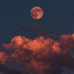 Ethan Kozlowski - Facebook