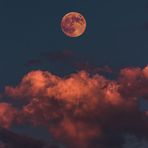 Ethan Kozlowski - Facebook