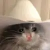 Ethan Kuhn - @douchephlute - TikTok