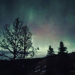 Ethan LaCombe - @spupleena - Instagram