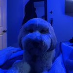 Ethan Lacombe - @ethan_lacombe - Instagram