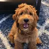 EthanLangston12 - @ethan.langston12 - TikTok