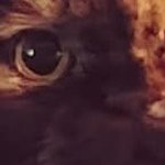 Ethan Lechner - @lechner.ethan - Instagram