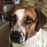 Ethan Lehman - @ethan.lehman.79 - Instagram