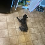 Ethan Leslie - @easye0708 - Instagram