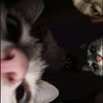 Ethan Levin - @ethan_l1248 - Instagram