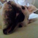 Ethan Link - @linkethan - Instagram