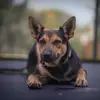 ethan.lowry1972 - @ethan.lowry1972 - TikTok