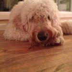 Ethan Lutz - @ethaners - Instagram