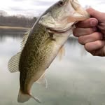 ethan lutz - @lutz.fishing - Instagram