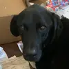 Ethan Lutz - @memelord18941 - TikTok