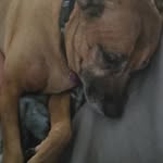 BigEthan - @ethan_markowitz - Instagram