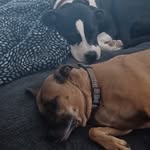 @ethan_markowitz09 - Instagram