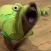 Ethan - @ethanmauldin4 - TikTok