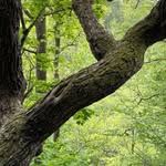 Ethan Mauldin - @mauldin1748 - Instagram