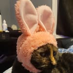 Ethan Maurer - @justjokesifound - Instagram