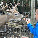 Ethan Maurer - @ethanmaurer3497 - Instagram