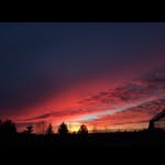Ethan Maurer - @ethan_maurer0 - Instagram