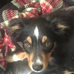 Ethan Maurer - @ethan_maurer1 - Instagram