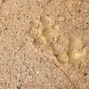 Ethan Mayer565 - @teddy.417 - TikTok