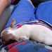 Ethan Mcdaniel - Facebook