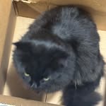 Ethan McDaniel - @ethan.mcdaniel.1485 - Instagram