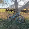 ethan_mcgrath6 - @ethan_mcgrath6 - TikTok