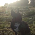 Ethan McKay - @ethanmckay123 - Instagram