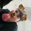 ethanmead01 - @ethanmead01 - TikTok